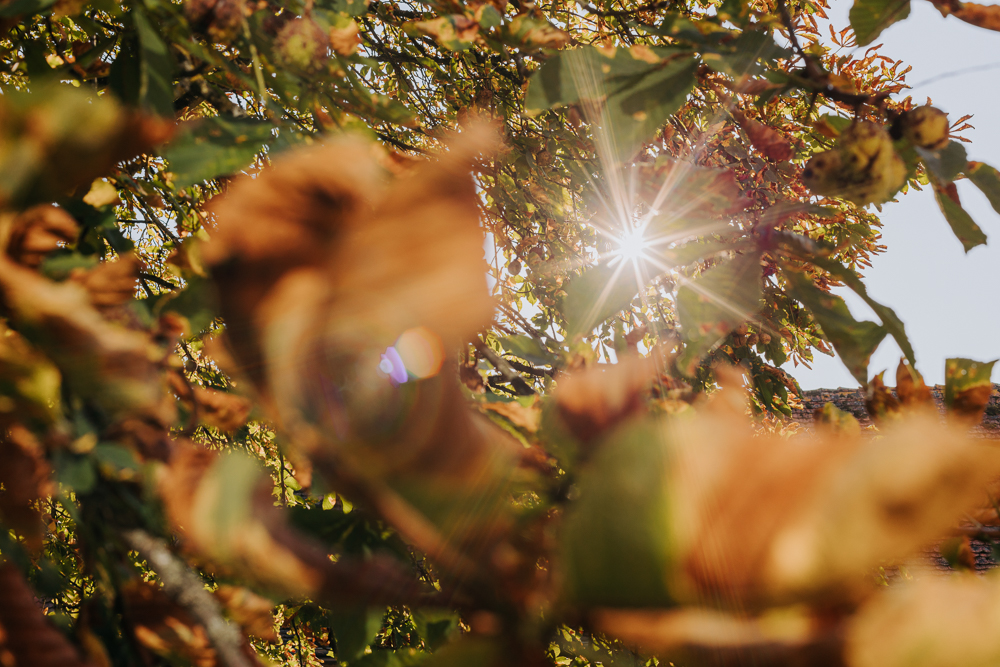 life-fotografie-odenwald-hochzeit-rm110