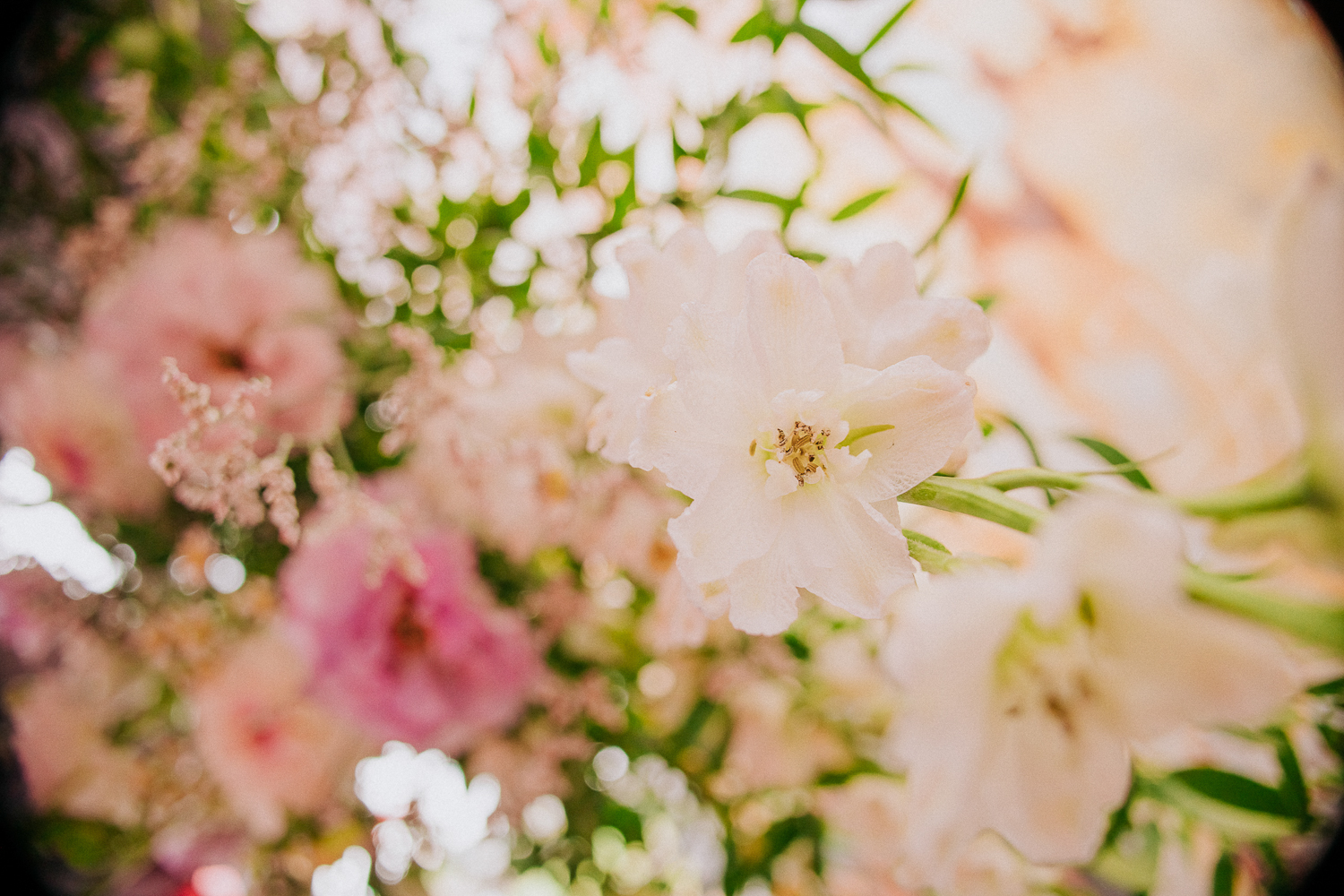life-fotografie-odenwald-hochzeit-sd-004