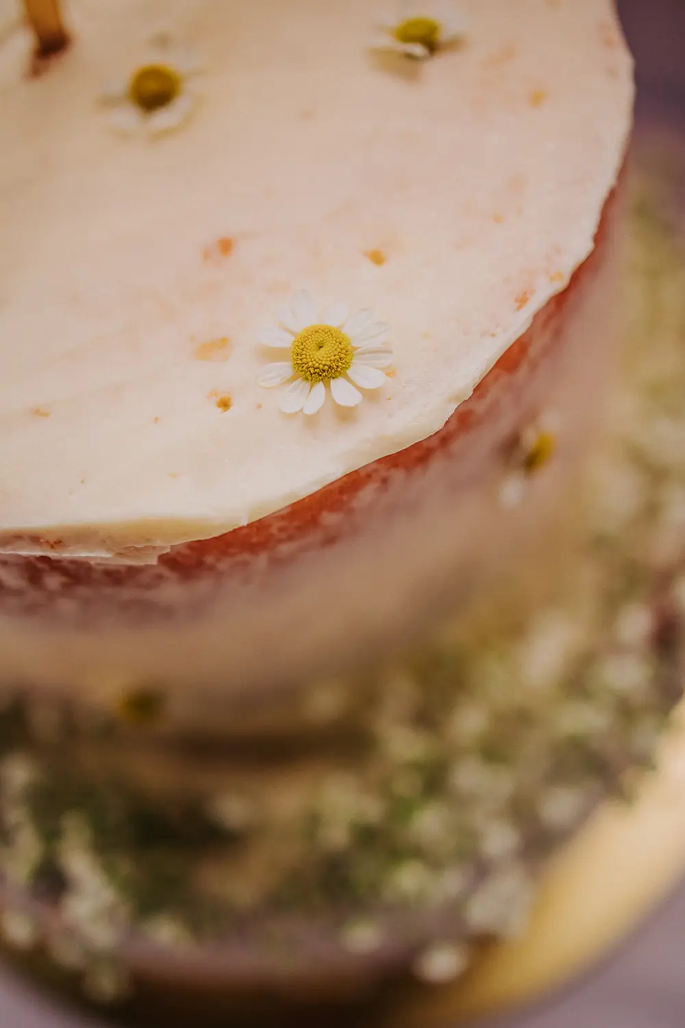 life-fotografie-odenwald-hochzeit-sd-088