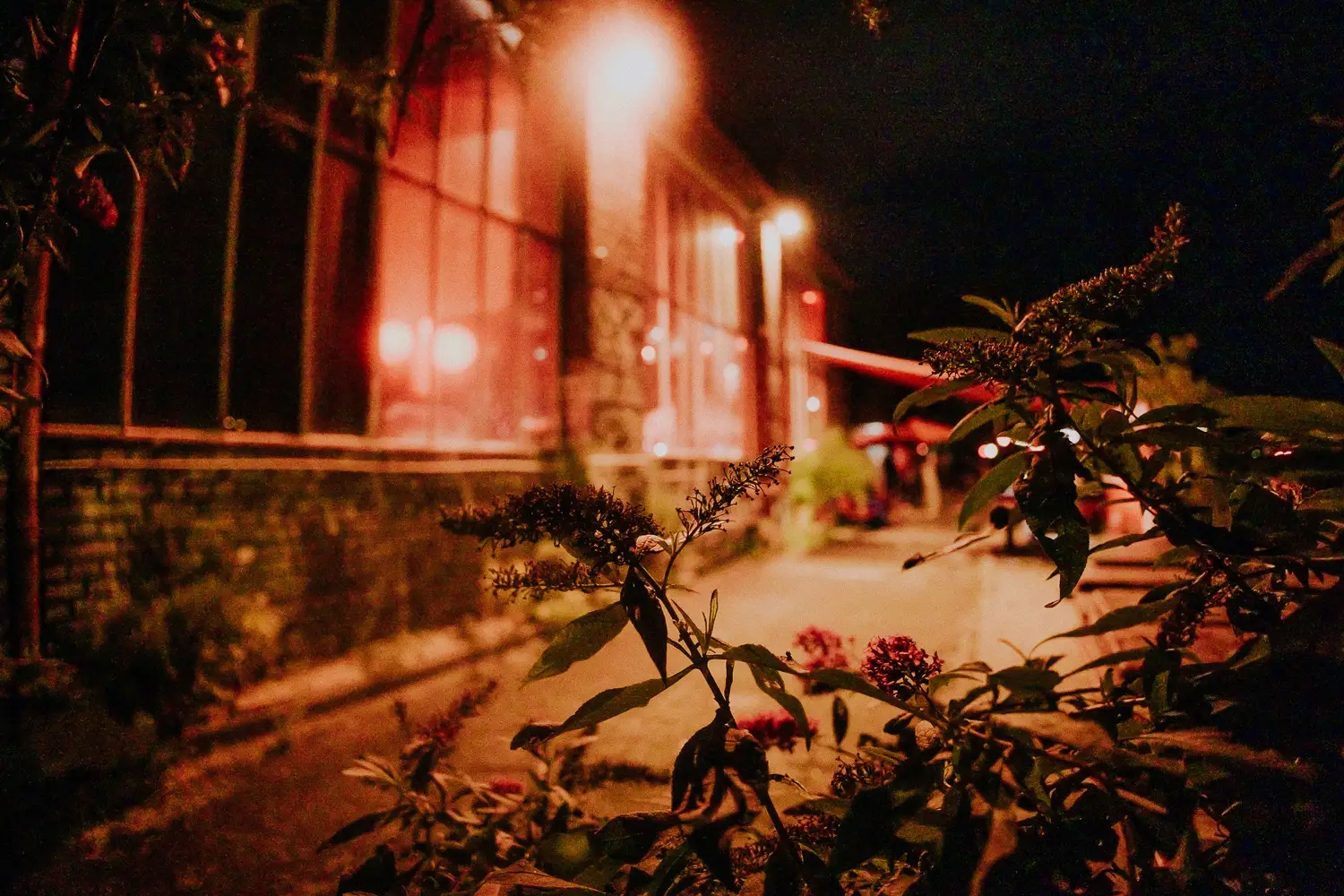 life-fotografie-odenwald-hochzeit-sd-143