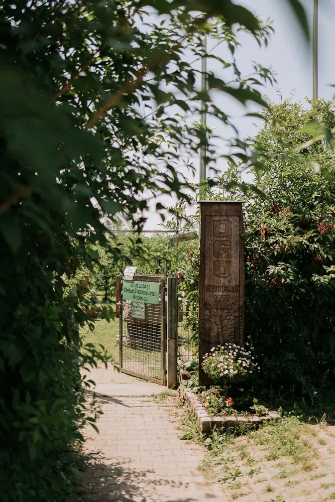 life-fotografie-odenwald-hochzeit-sd009