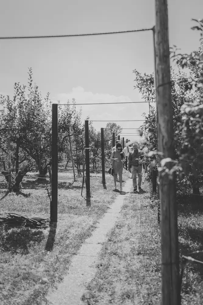 life-fotografie-odenwald-hochzeit-sd082