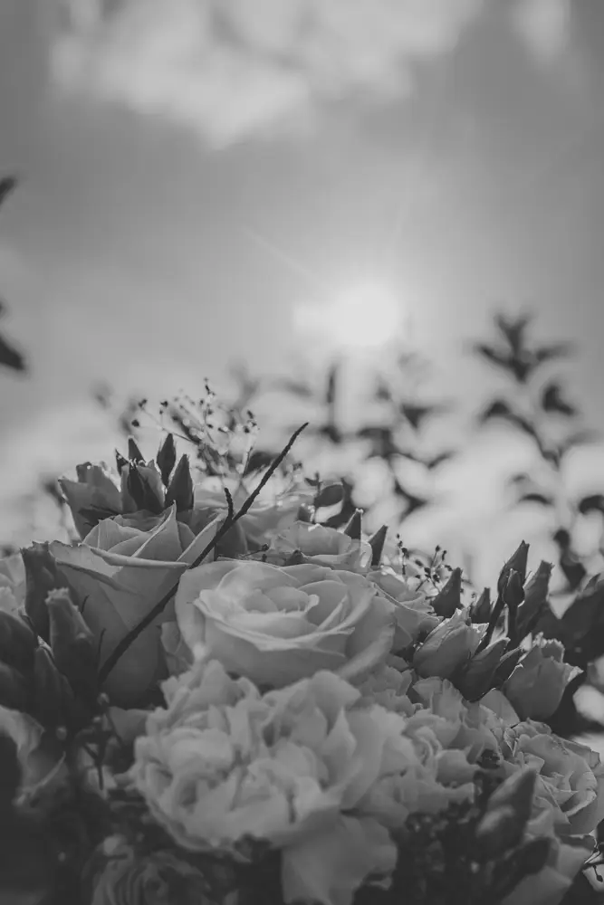 life-fotografie-odenwald-hochzeit-sd145