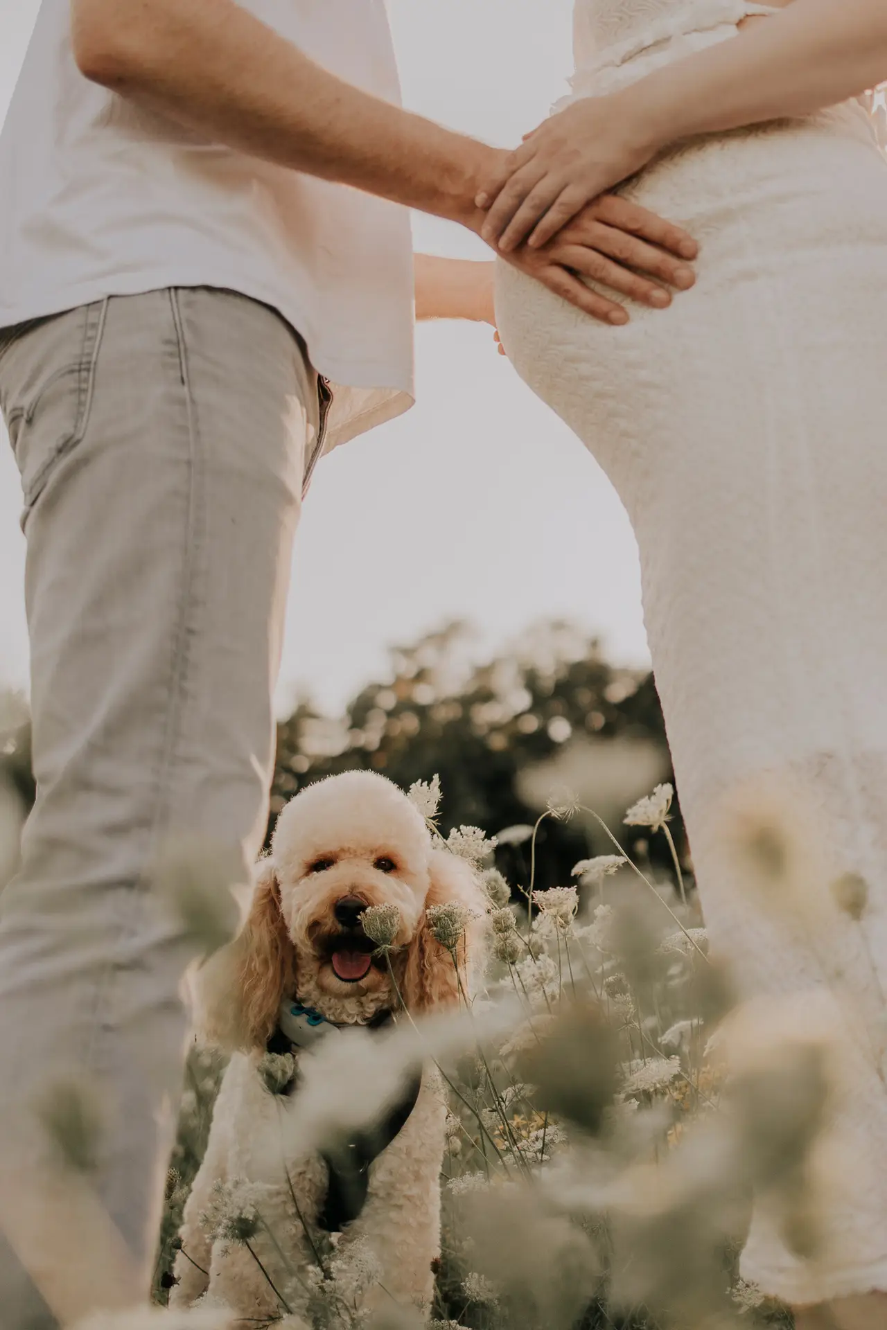 lifefotografie-baby-odenwald-18