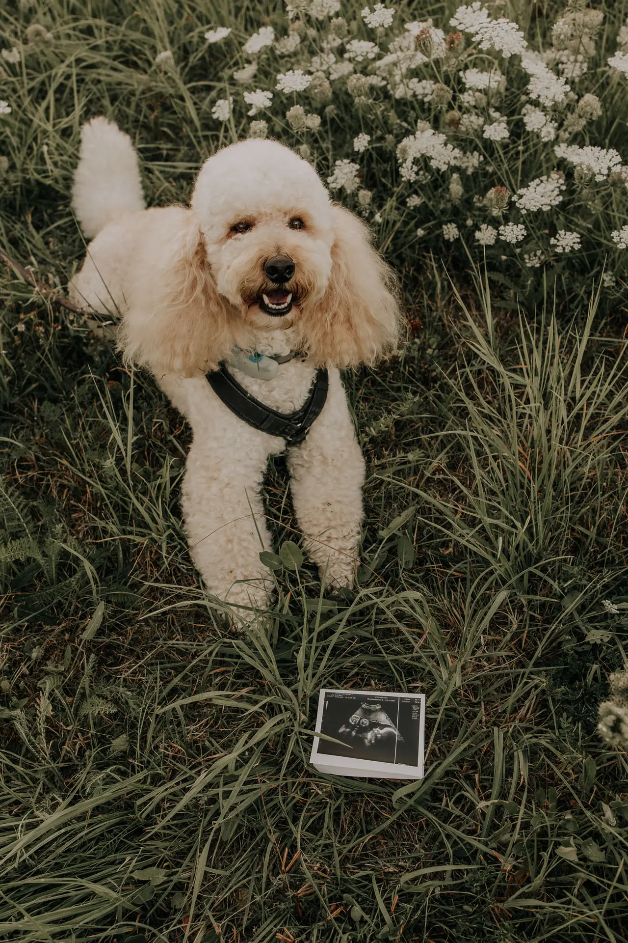 lifefotografie-baby-odenwald-21
