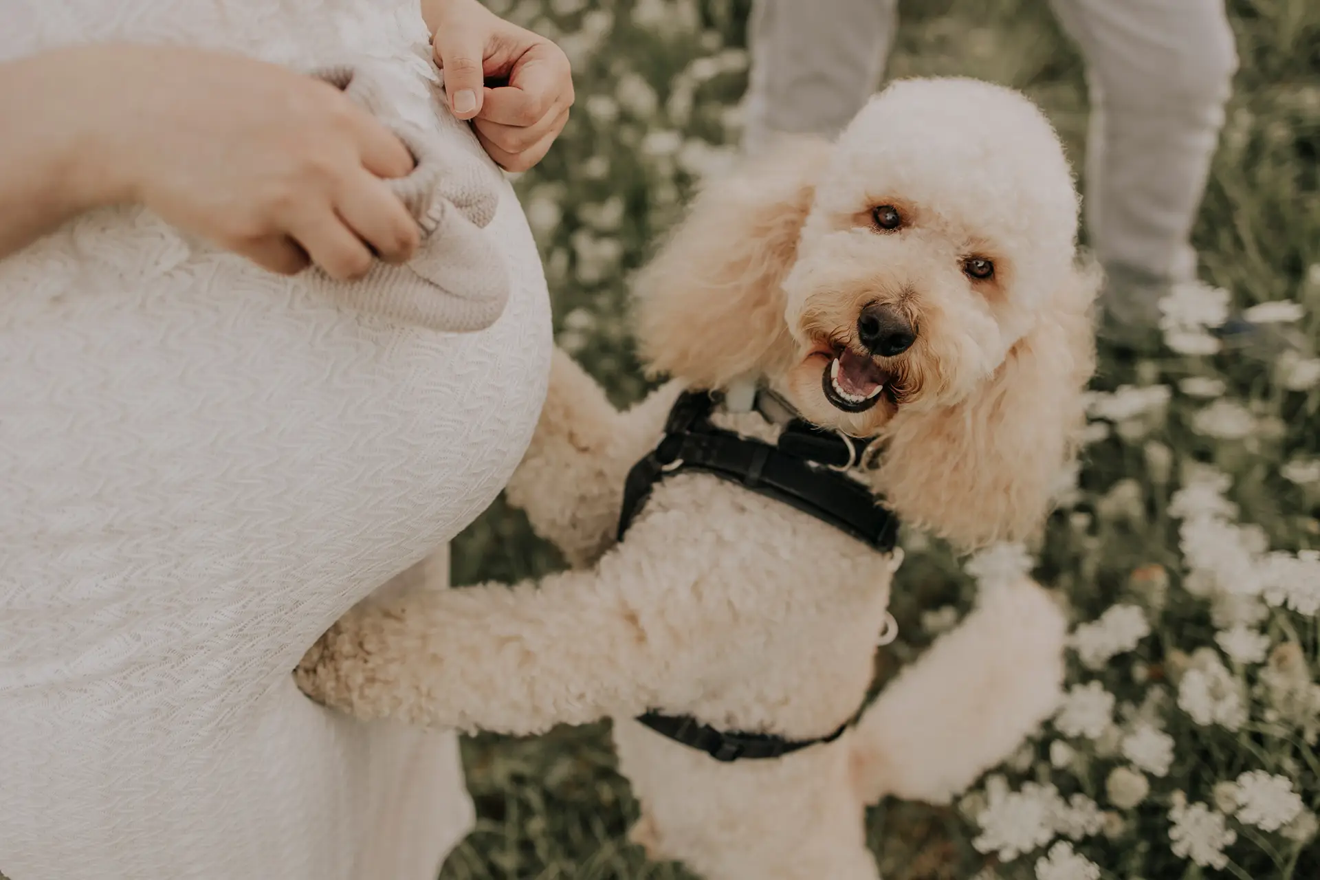lifefotografie-baby-odenwald-22