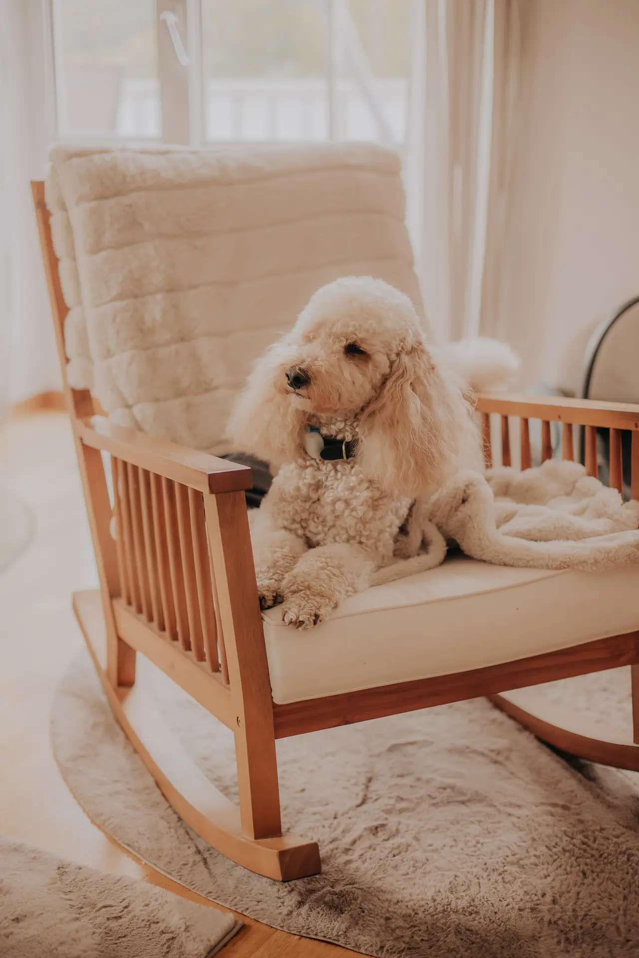 lifefotografie-baby-odenwald-48