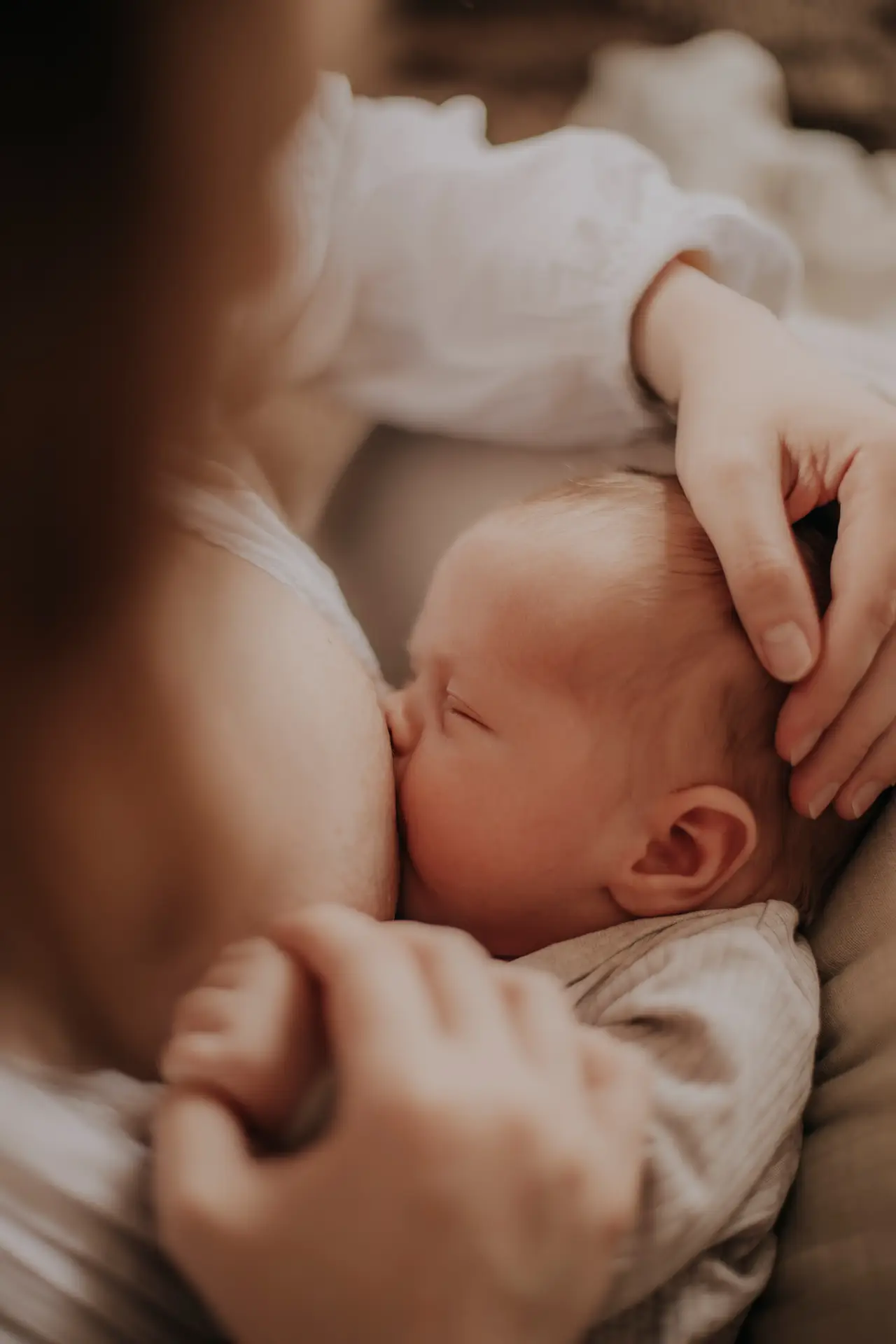 lifefotografie-baby-odenwald-59