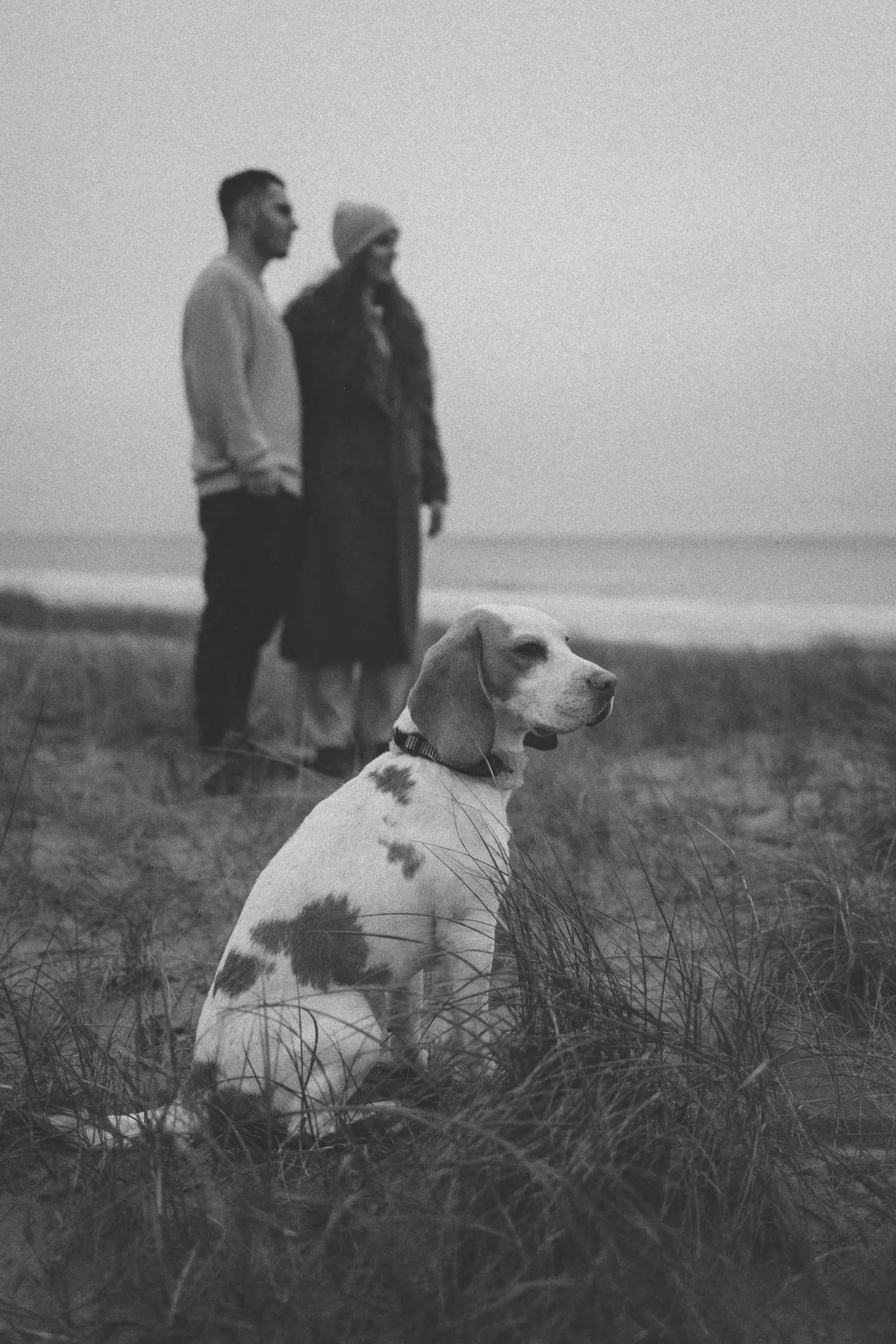 lifefotografie-couple-odenwald-28