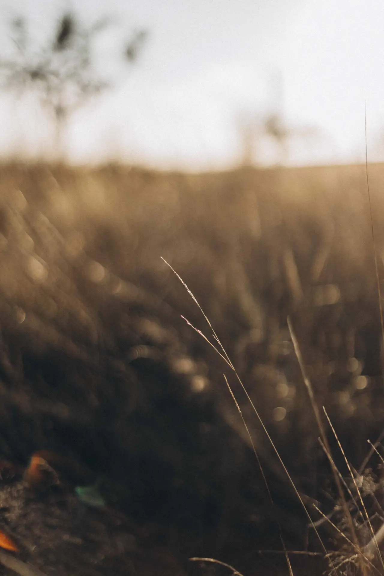 lifefotografie-familie-odenwald-76