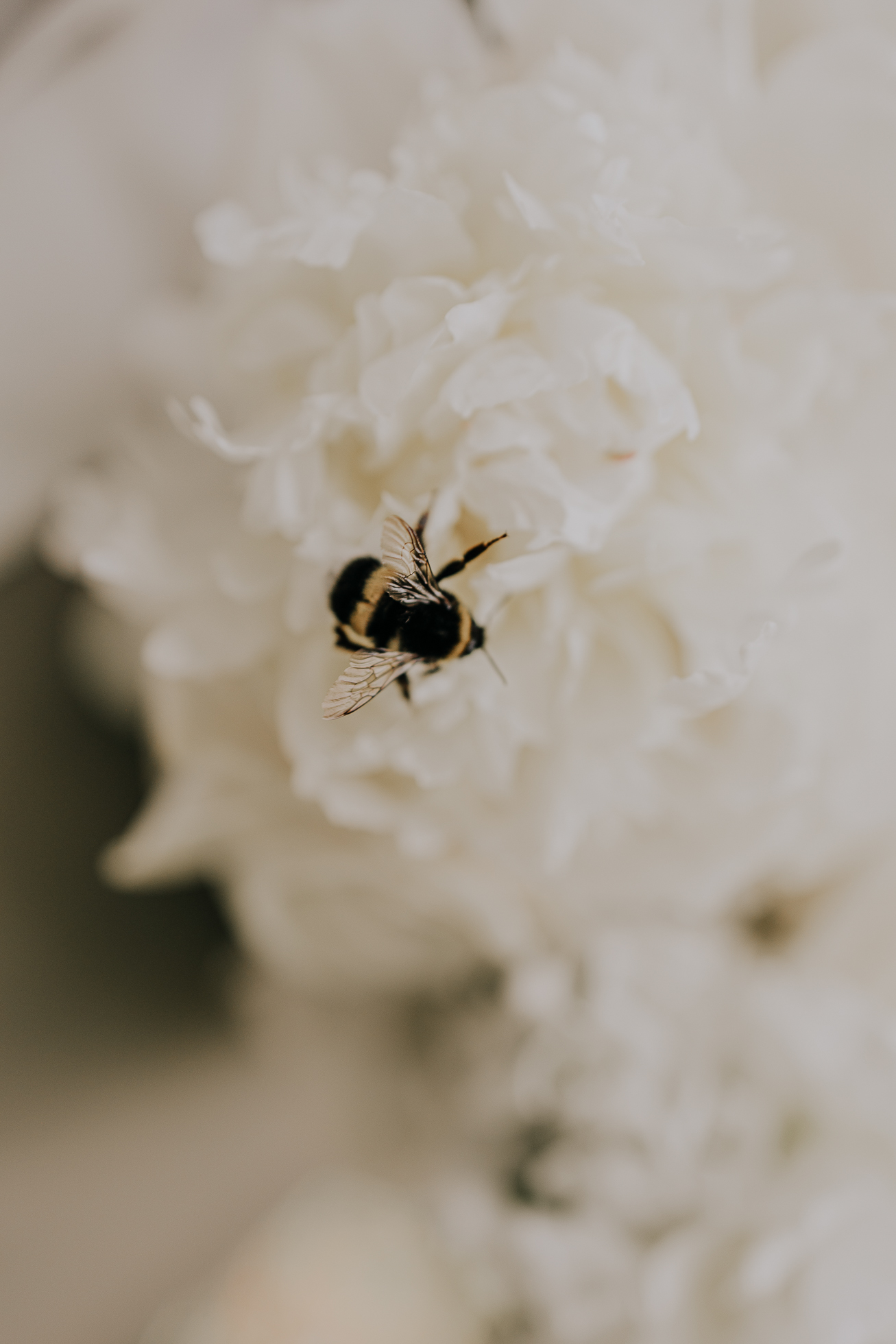 lifefotografie-mathildenhöhe-hochzeit-145