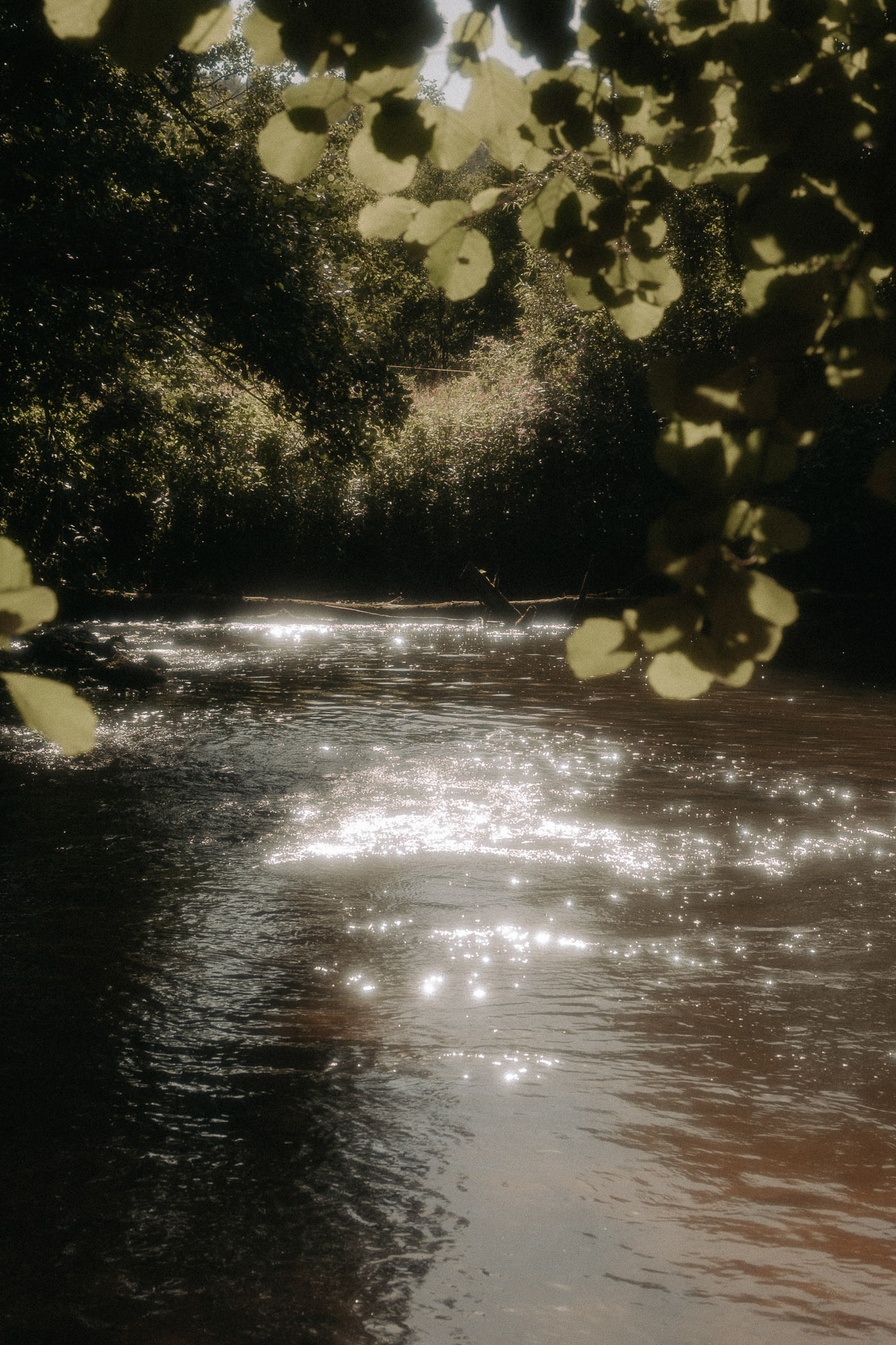 lifefotografie-motherhood-odenwald-65