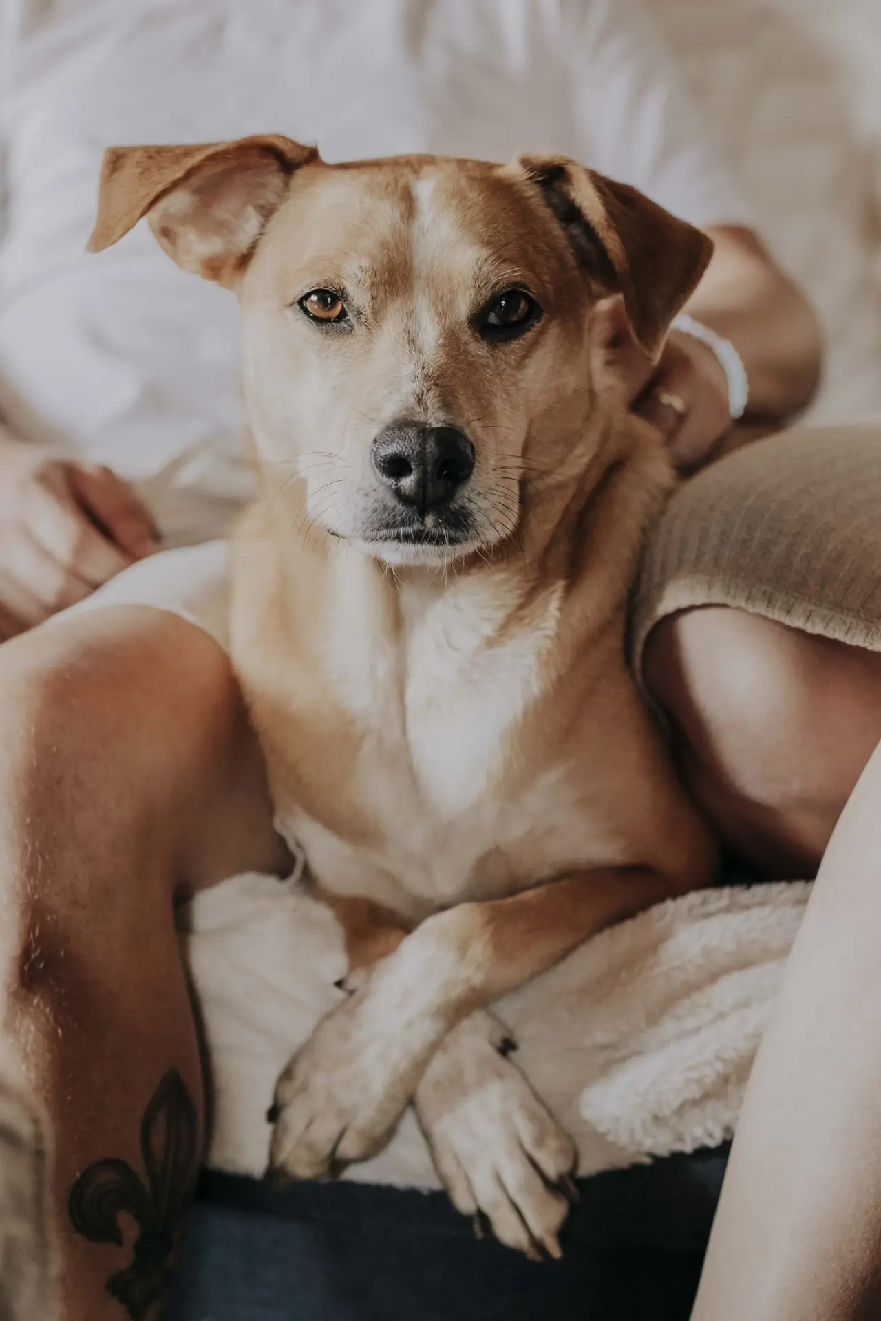 lifefotografie-newborn-odenwald-13