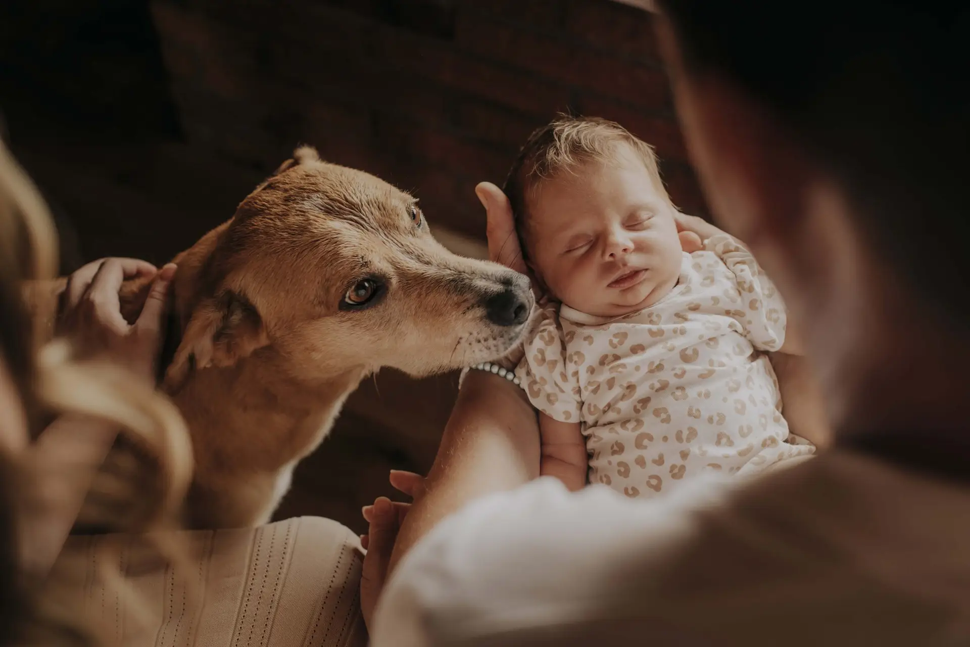 lifefotografie-newborn-odenwald-25