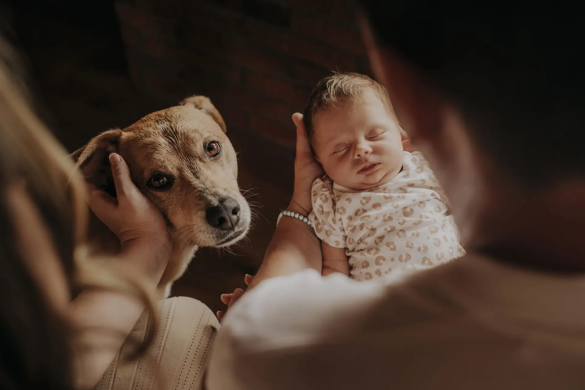 lifefotografie-newborn-odenwald-26
