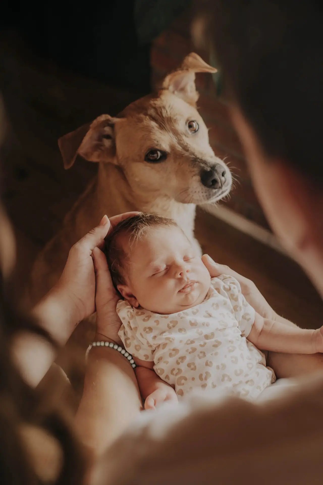 lifefotografie-newborn-odenwald-27