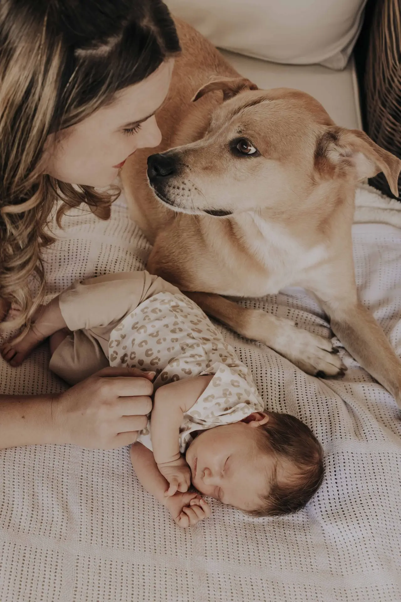 lifefotografie-newborn-odenwald-46