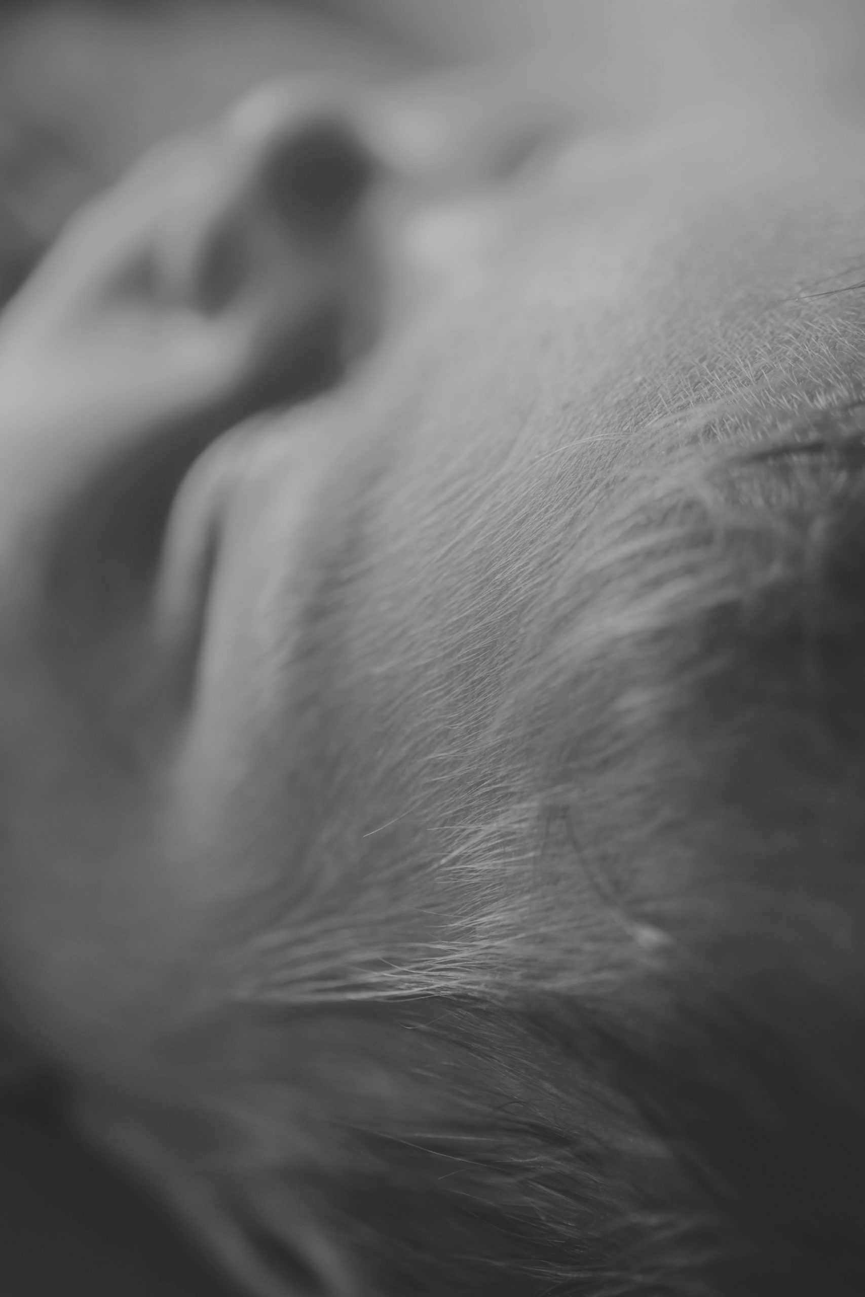 lifefotografie-newborn-odenwald-61