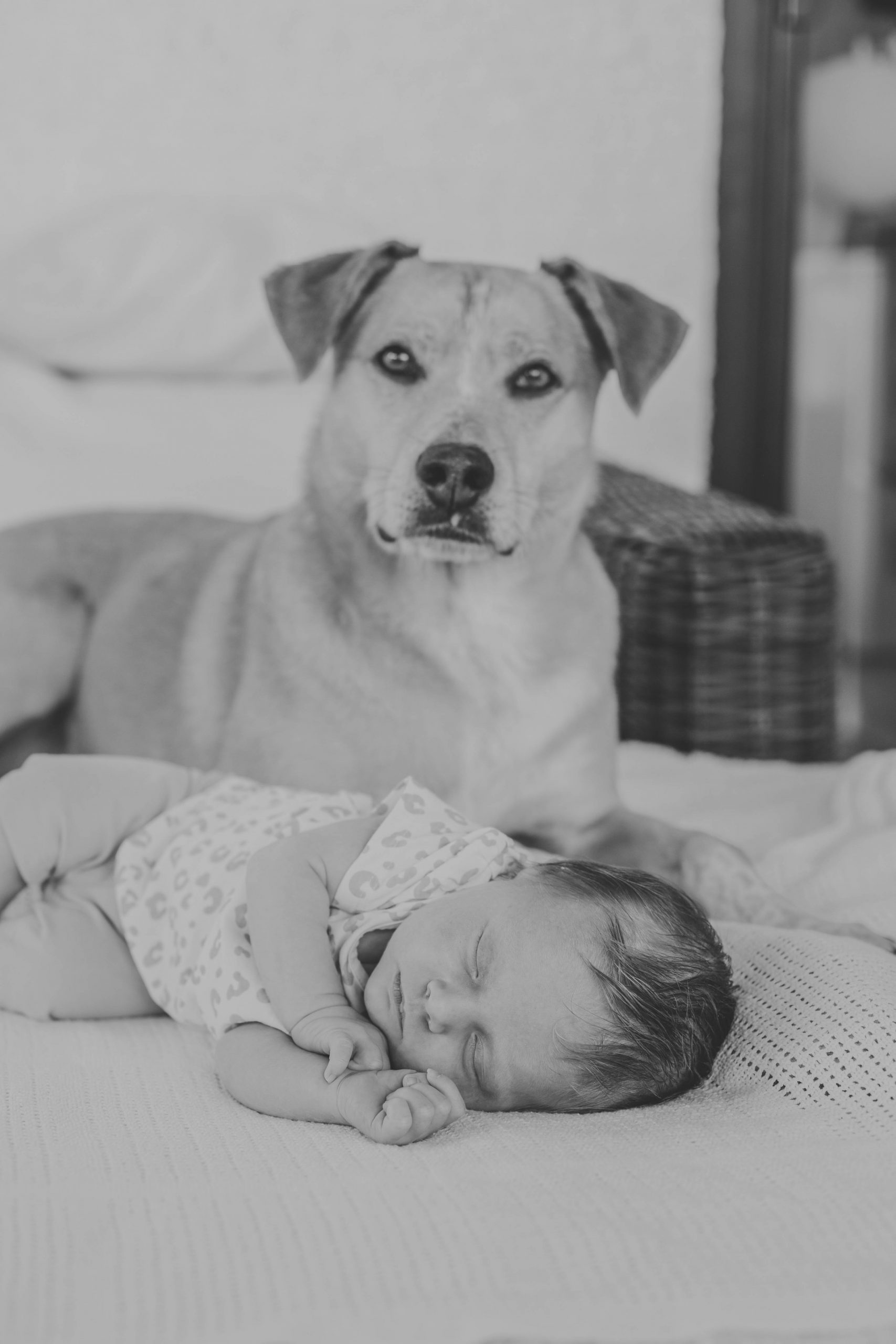 lifefotografie-newborn-odenwald-73